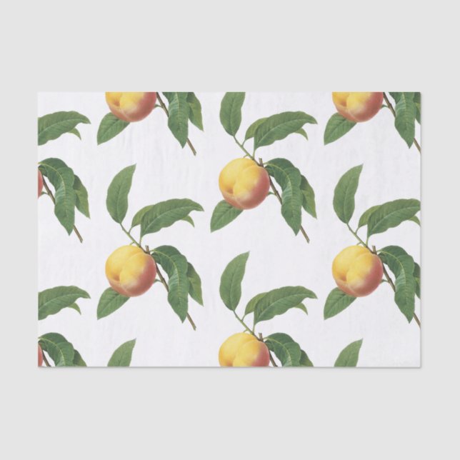 Peach Pattern Tissue Paper (Front)