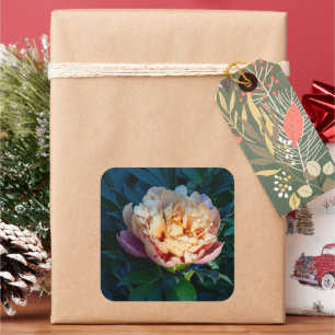 Peach Peony Bloom Square Sticker