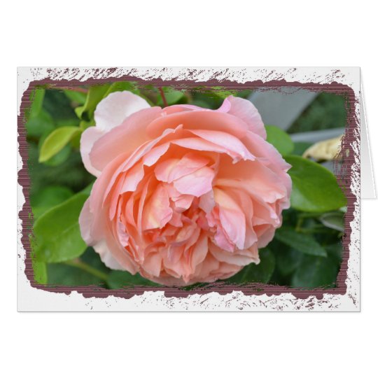 Peach Peony Card