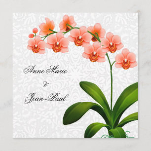 Peach Phalaenopsis Orchids and Lace Wedding Invite