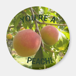 Peach Photo text You're a Peach Magnet