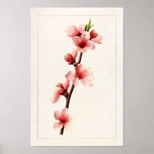 Peach Pink Flowers Watercolor Painting Poster