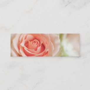 Peach Pink Rose Background Customised Mini Business Card