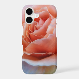 Peach Pink Rose Flower Art