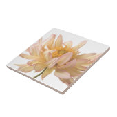 Peach, Pink, White, & Cream Dahlia Background Ceramic Tile (Side)