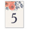 Peach Poppies Table Number