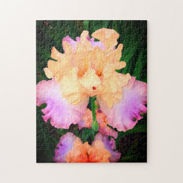 Peach & Purple Iris Jigsaw Puzzle (Vertical)