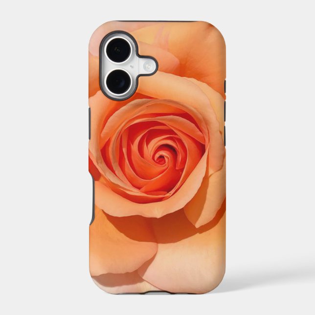 Peach Rose (Back)