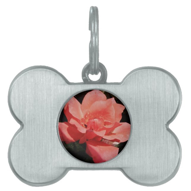 peach rose and dewdrops pet name tag (Front)