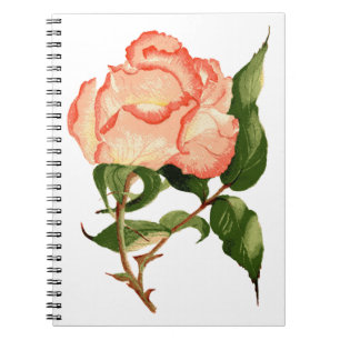 Peach rose botanical watercolor notebook