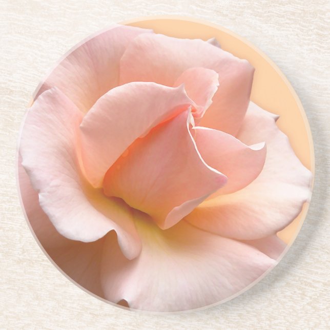 Peach Rose Coasters Wild Rose Gifts Keepsake Decor (Front)