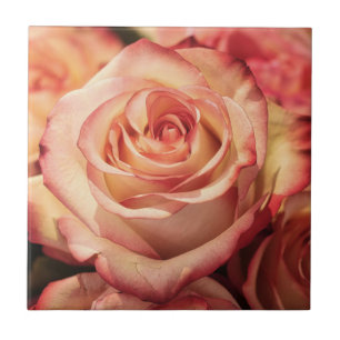 Peach Rose Flower Ceramic Tile