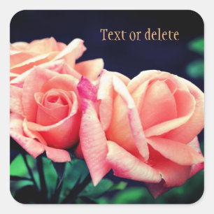 Peach Rose Flower Personalised Square Sticker