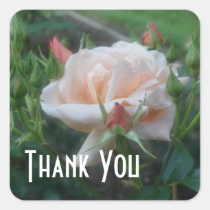 Peach Rose Flower Thank You Sticker