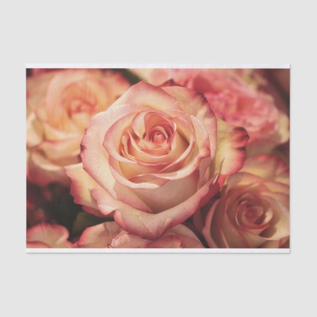 peach rose flower tissue paper (Front)