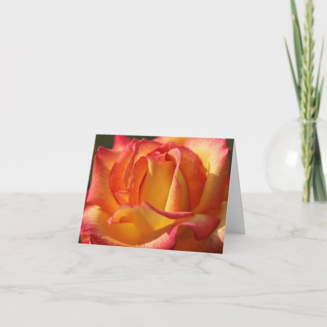PEACH ROSE NOTE CARDS (Front)