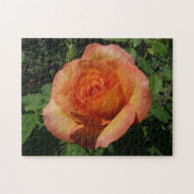 Peach Rose Orange Floral Photography Jigsaw Puzzle (Horizontal)