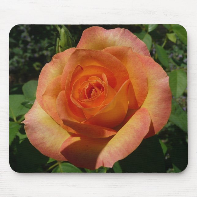 Peach Rose Orange Floral Photography Mouse Pad (Front)