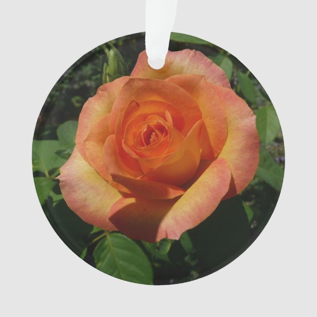 Peach Rose Orange Floral Photography Ornament (Front)