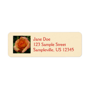 Peach Rose Orange Floral Photography Return Address Label