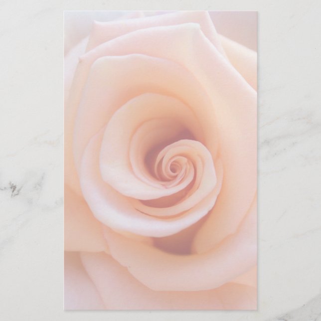 Peach Rose Stationery (Front)