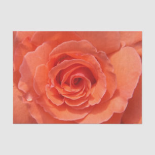 Peach rose tissue paper