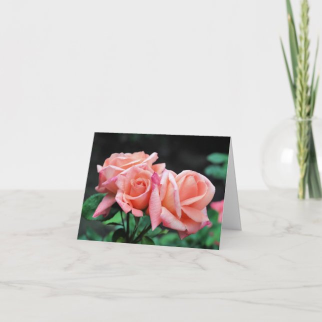 Peach Rose Trio Flower Photography  Note Card (Front)