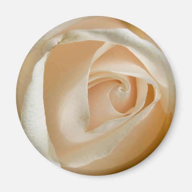 Peach Rose Wedding Magnet (Front)
