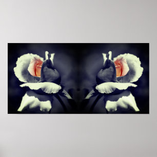 Peach Rosebud Black And White Partial Colour Mirro Poster