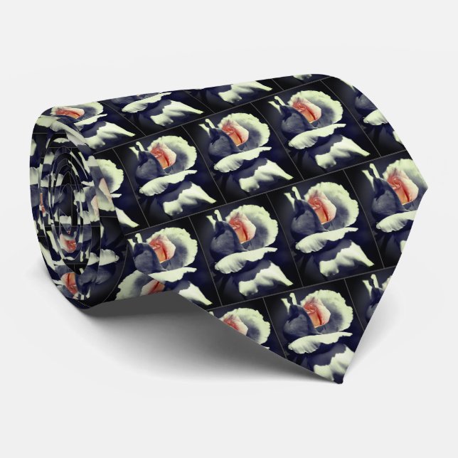 Peach Rosebud Black And White Partial Colour   Tie (Rolled)