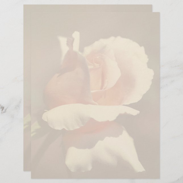 Peach Rosebud Flower Nature Custom Letterhead (Front/Back)