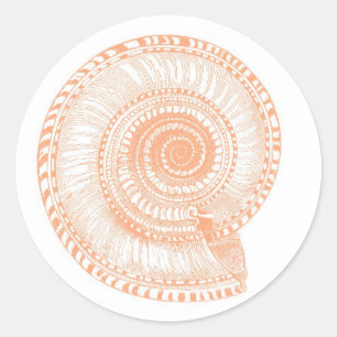 Peach Seashell Sticker