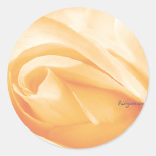 Peach Sherbet Rose Bud Wedding Envelope Seal