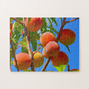 Peach tree jigsaw puzzle