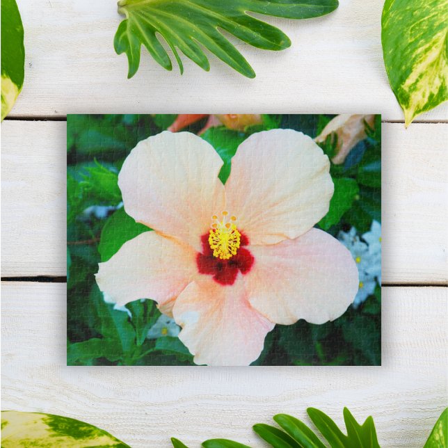 Peach Tropical Hibiscus From Venice, Italy Jigsaw Puzzle (Creator Uploaded)