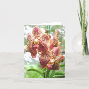 PEACH, YELLOW & MAGENTA-COLORED ORCHID CARD