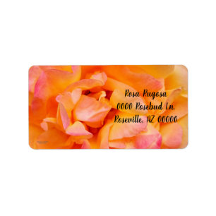 Peach Yellow Pink Blend Rose Flower Photo Label