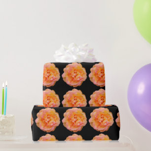 Peach Yellow Pink Blend Rose Flower Photo on Black Wrapping Paper