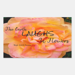 Peach Yellow Pink Blend Rose Flower Photo Rectangular Sticker