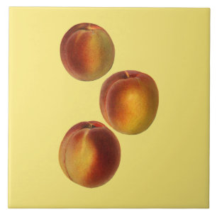 Peaches Botanical ~ Kitchen ~ Any Colour Backgroun Tile