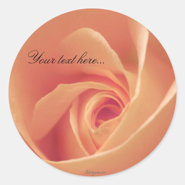 Peaches & Cream Rose Wedding Invitations Seals (Front)