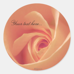 Peaches & Cream Rose Wedding Invitations Seals