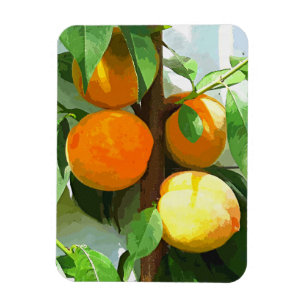 PEACHES MAGNET