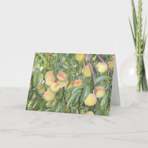 Peaches on the Tree Greeting Card