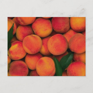 Peaches Postcard