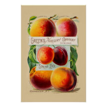 Peaches