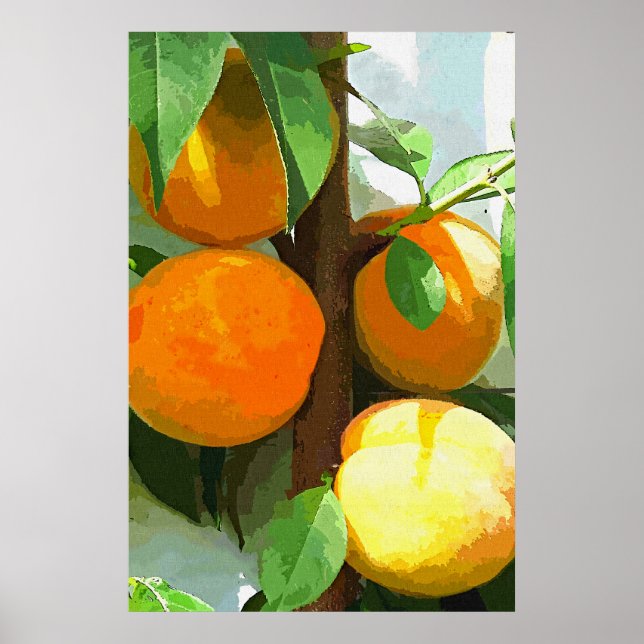 PEACHES POSTER (Front)