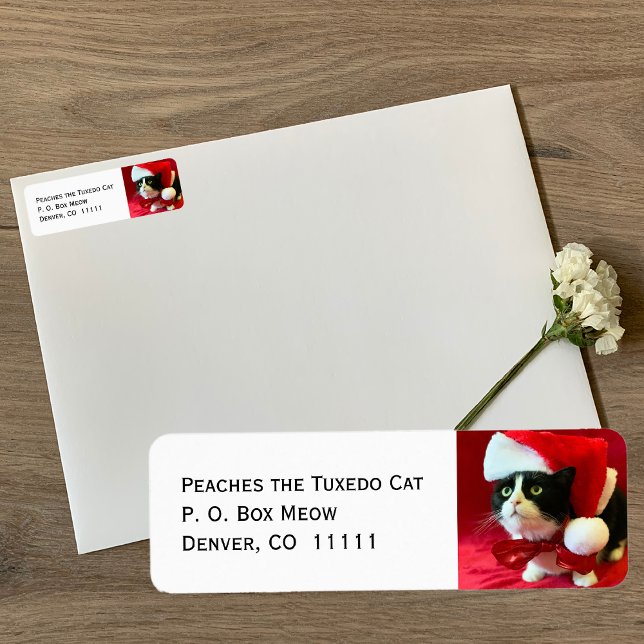 Peaches the Tuxedo Cat Christmas Address Labels (Creator Uploaded)