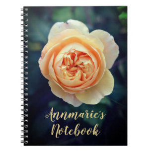 Peachy Orange Garden Rose Flower Personalised Notebook