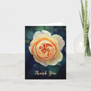 Peachy Orange Garden Rose Flower Thank You Announcement